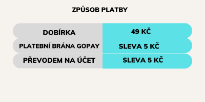 Kopie návrhu Způsob platby (400 × 200 px)